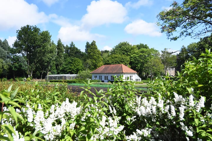 Foto 2 van Kornoeljestraat 50