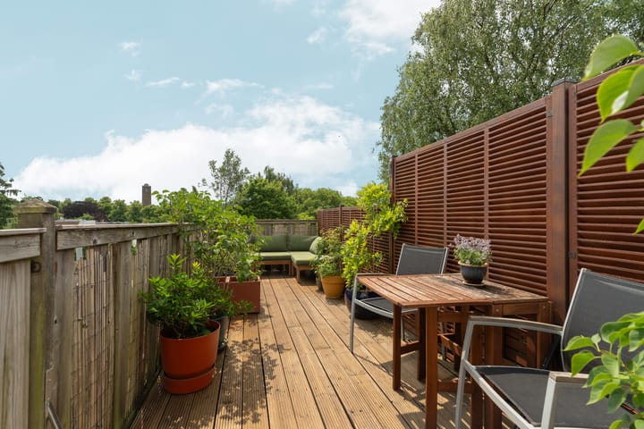 Foto 5 van Paulus Potterstraat 4