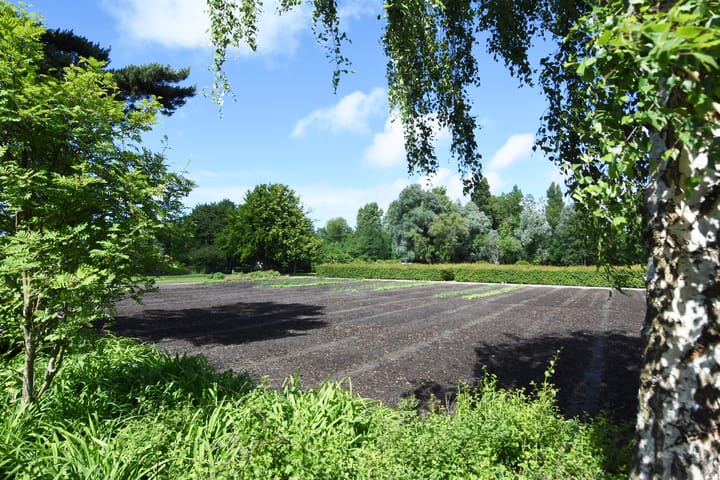 Foto 3 van Kornoeljestraat 50