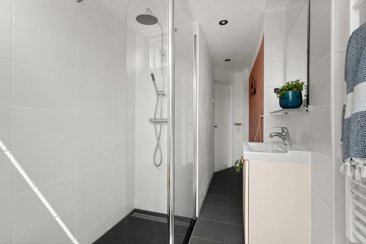 Foto 35 van Paulus Potterstraat 4