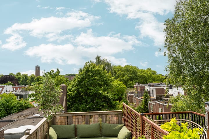 Foto 39 van Paulus Potterstraat 4