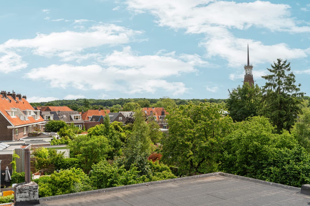 Foto 41 van Paulus Potterstraat 4