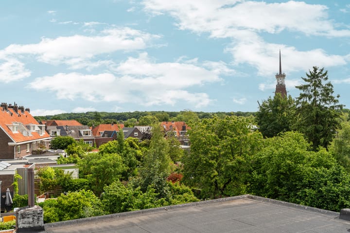 Foto 41 van Paulus Potterstraat 4