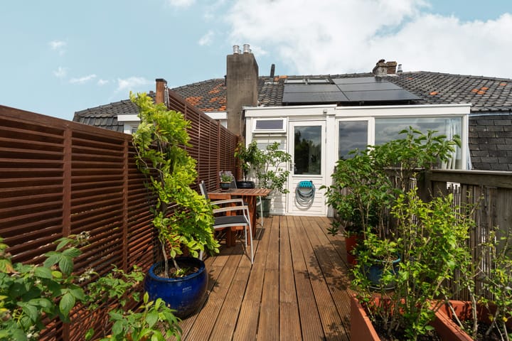 Foto 42 van Paulus Potterstraat 4