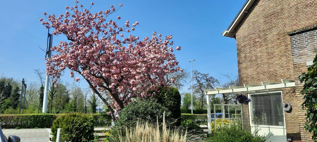 Foto 32 van Pellekaanstraat 14