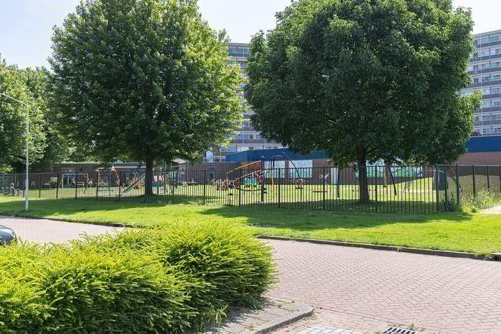 Photo 30 of IJsbloem 1