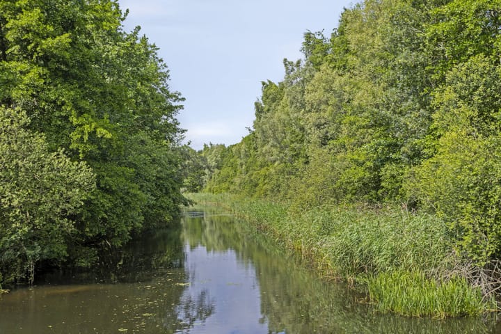 Foto 34 van Boskolk 10