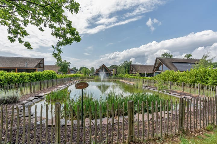 Foto 28 van Kievit 12-B672