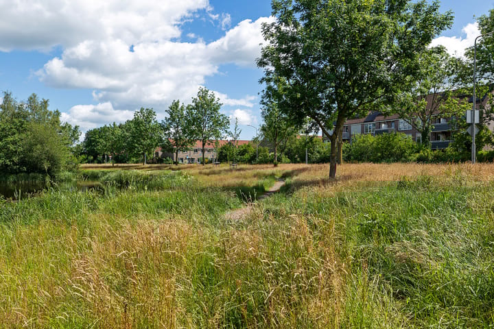 Foto 18 van Scharmbarg 191