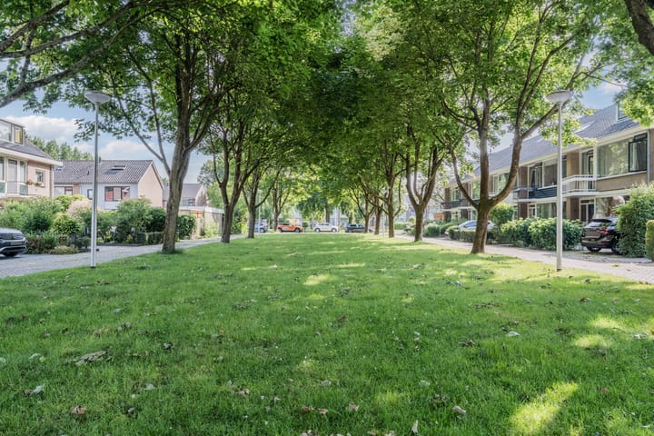 Photo 37 of Oranjeplantsoen 9