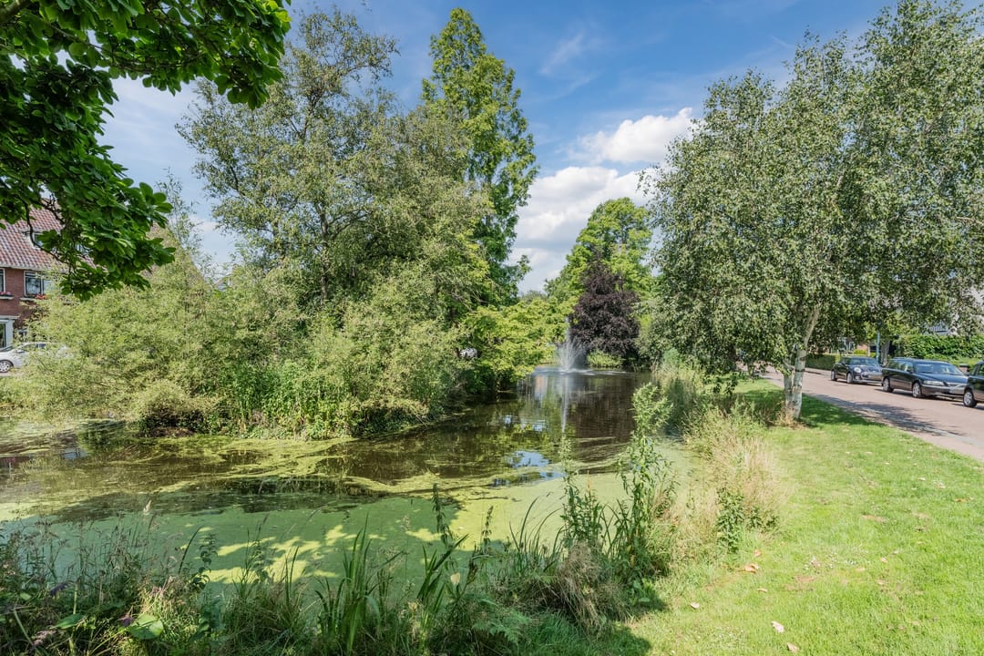 Foto 38 van Oranjeplantsoen 9