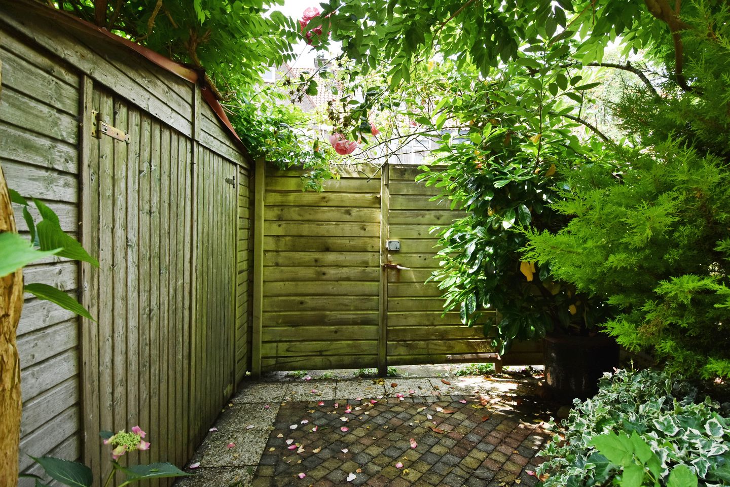 Foto 20 van van Woudekade 20