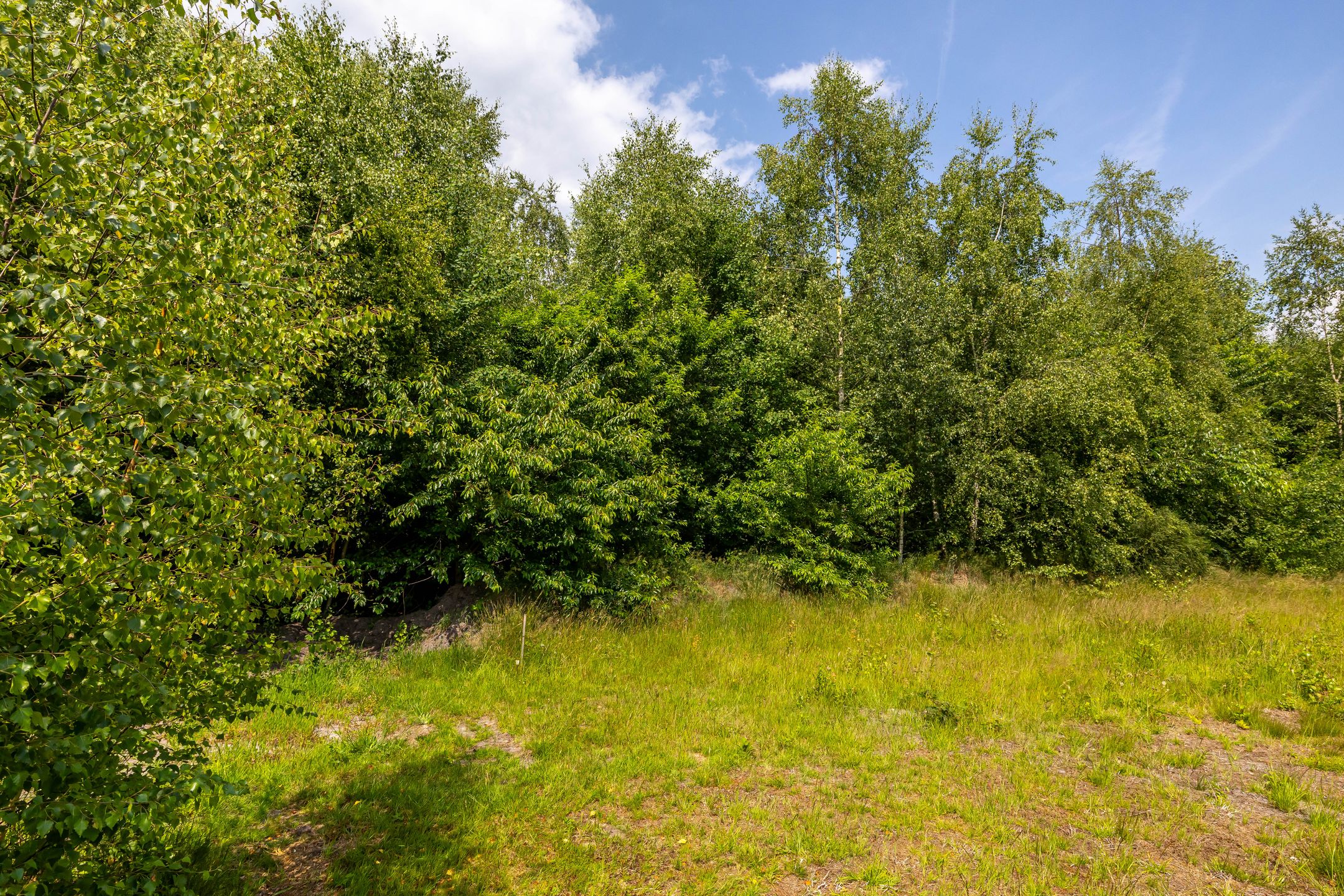 Foto 3 van Houtvester Jansenweg 2-208A