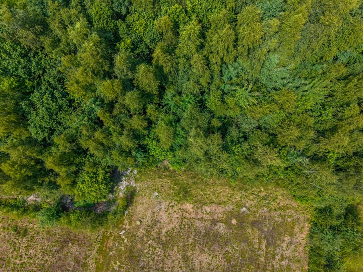 Photo 4 of Houtvester Jansenweg 2-208A