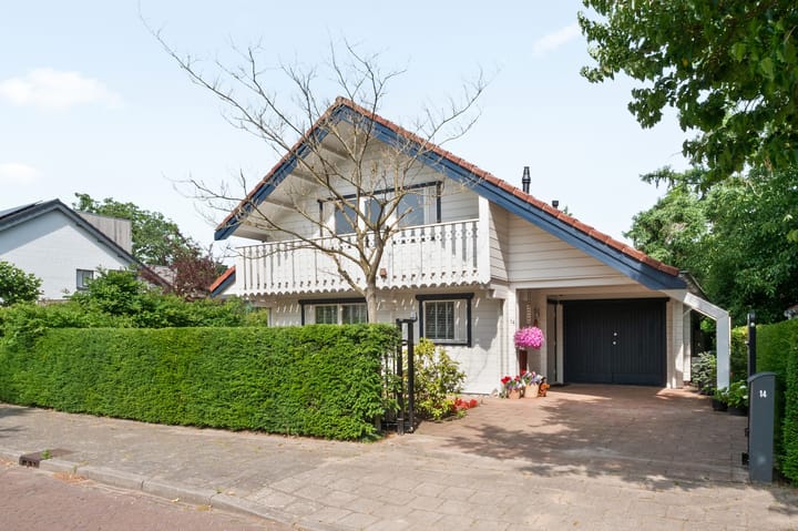 undefined main image