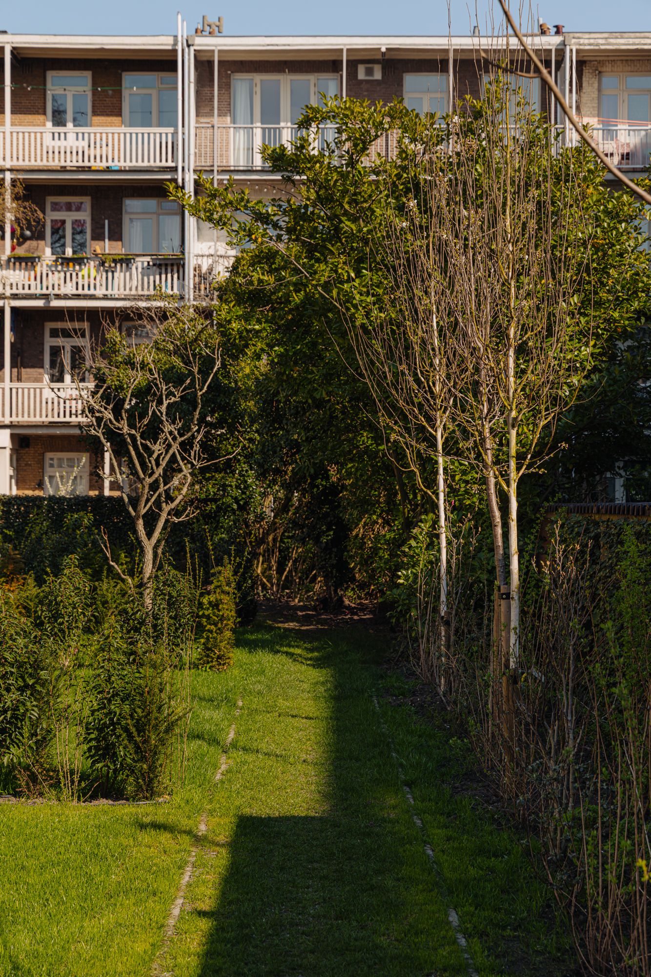 Foto 25 van Filips van Almondestraat 15-M