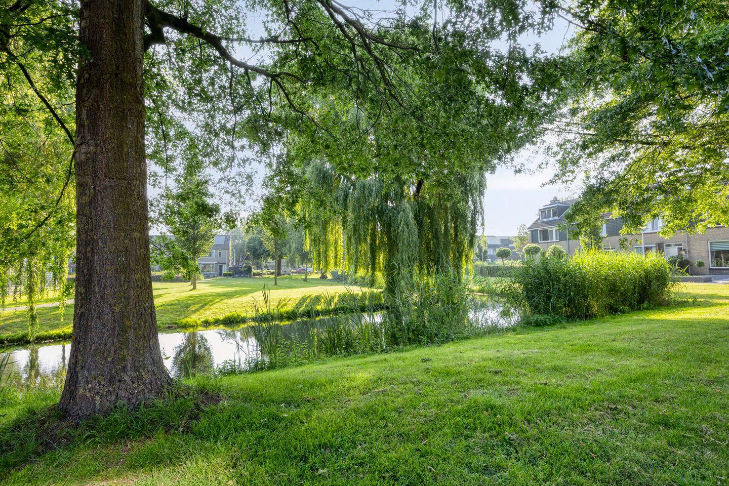 Foto 35 van Heemraadsingel 21