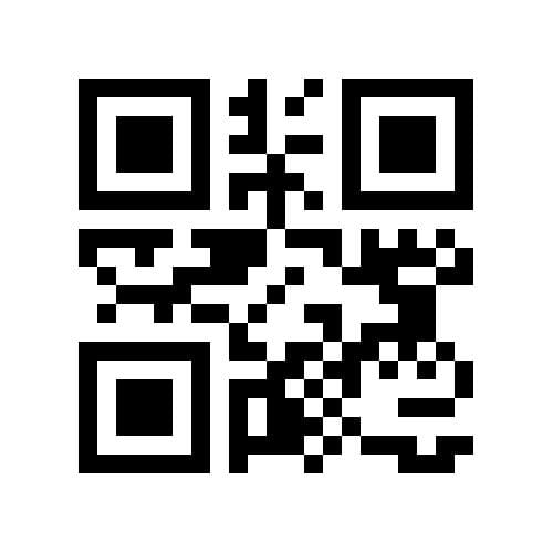 Foto 42 van Ermerzand 76