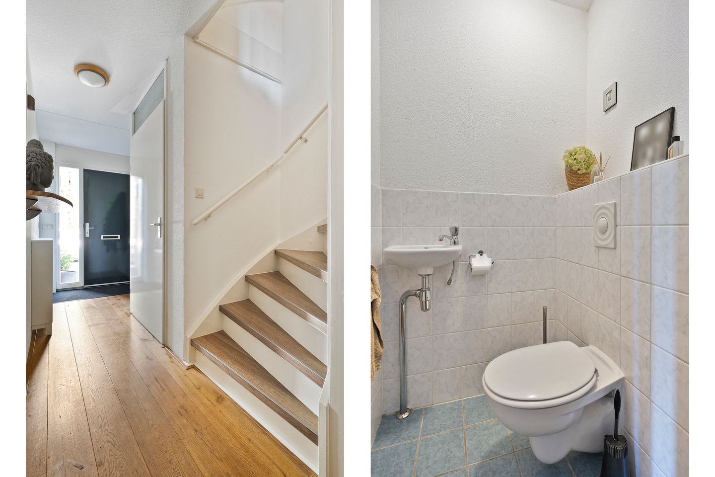 Foto 10 van Haakmos 26