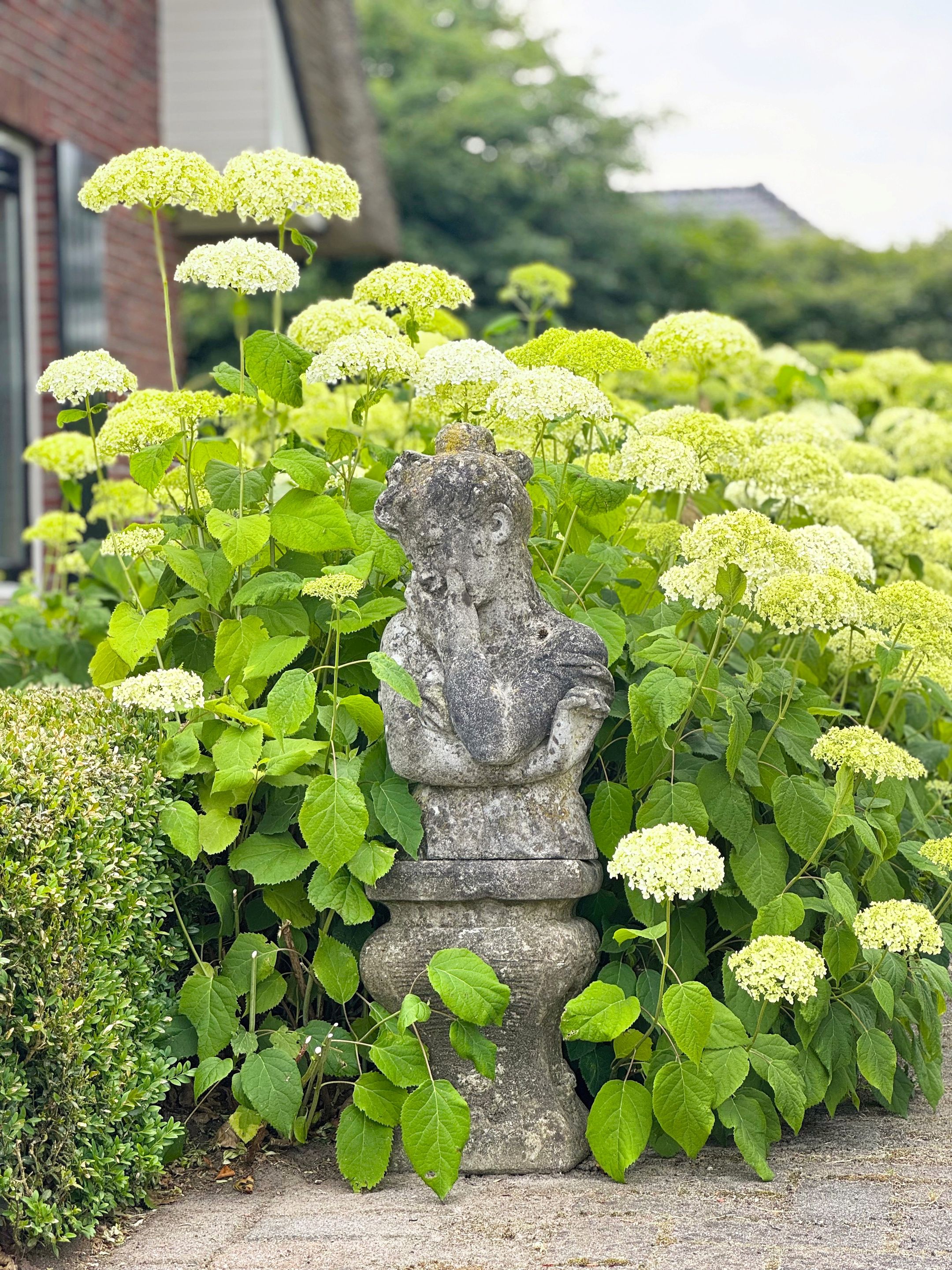 Foto 51 van Lange Zuiderweg 118