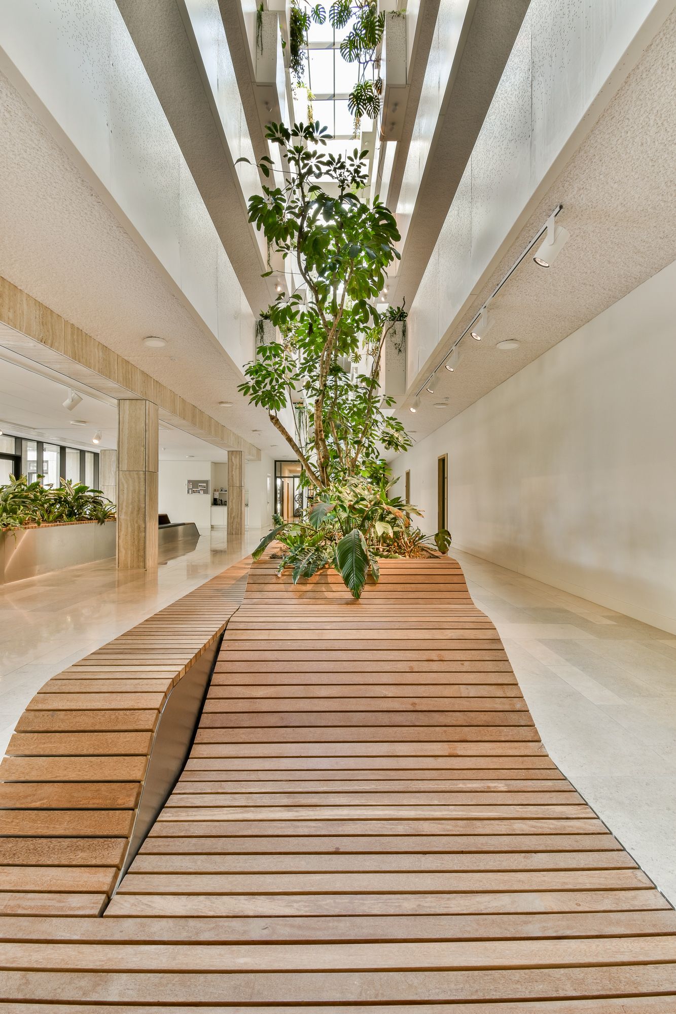 Foto 18 van Sausalitolaan 100