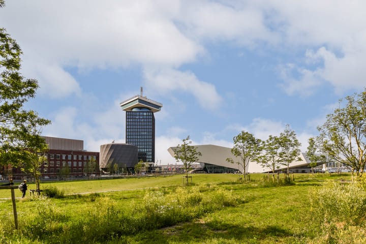 Foto 23 van Sausalitolaan 100