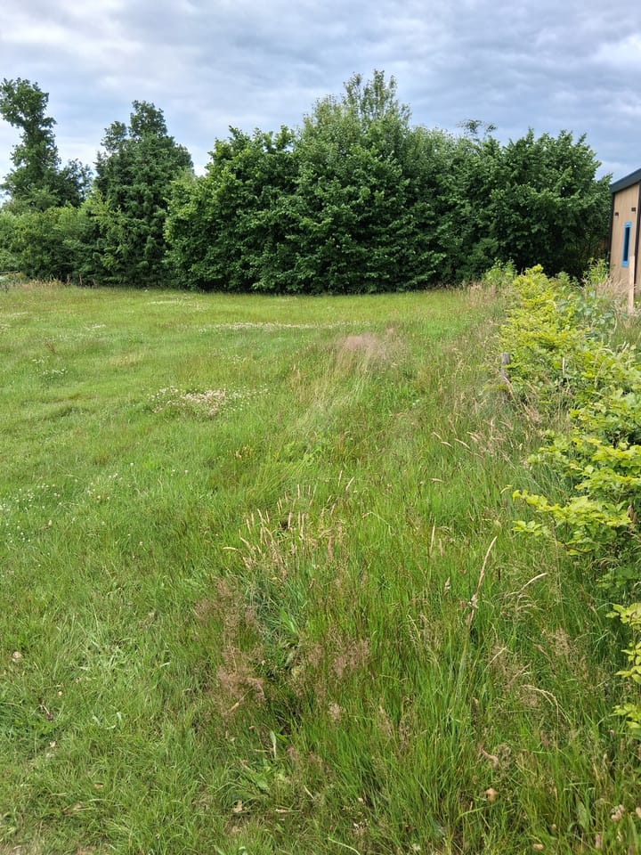 Foto 3 van Elfde Wijk 42