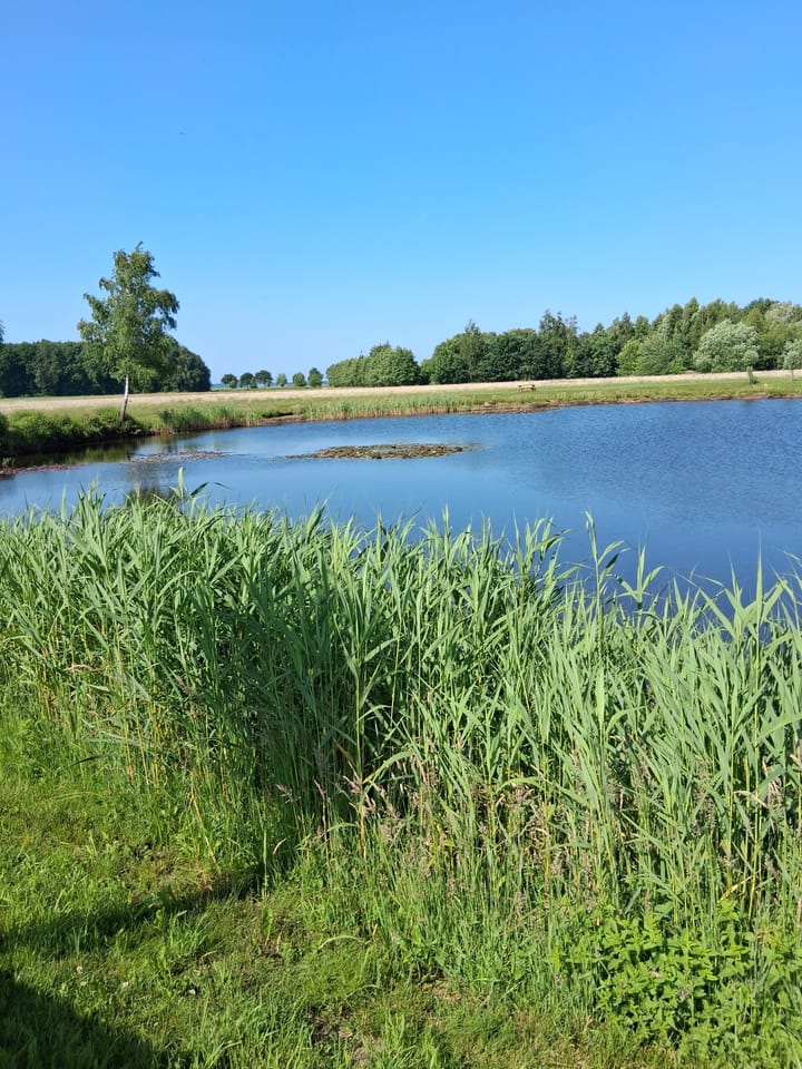 Foto 4 van Elfde Wijk 42