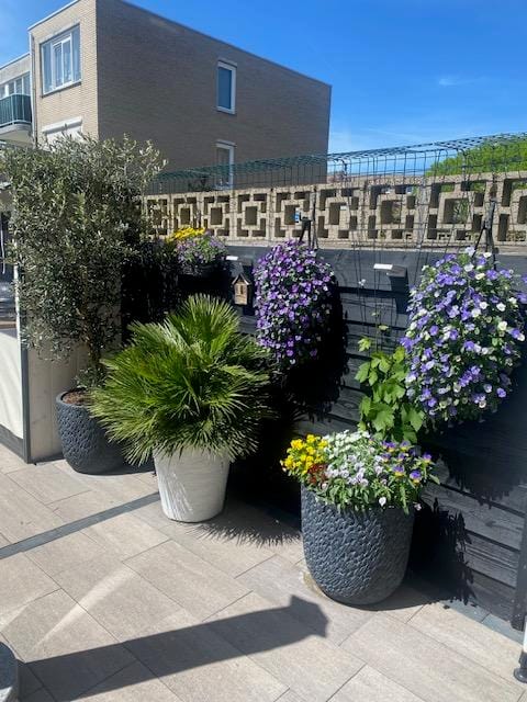 Foto 48 van Peperstraat 42