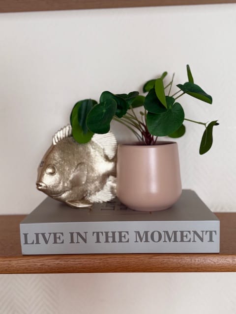 Foto 6 van Volksplein 80-B