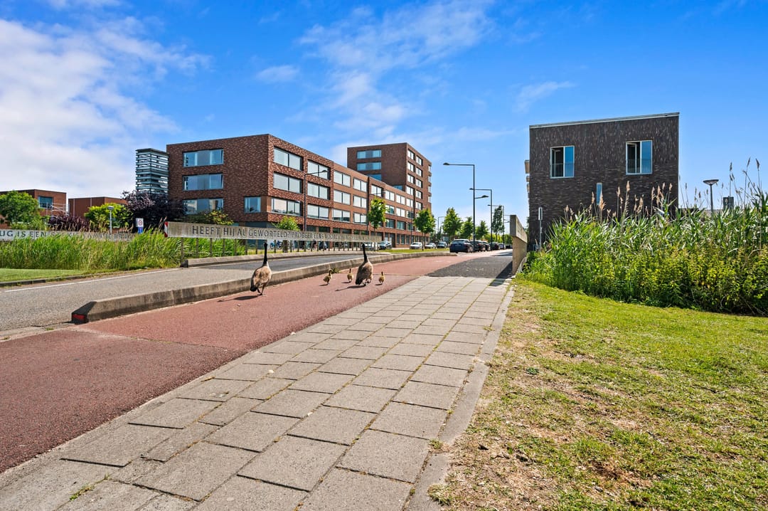 Foto 53 van Kristalweg 7