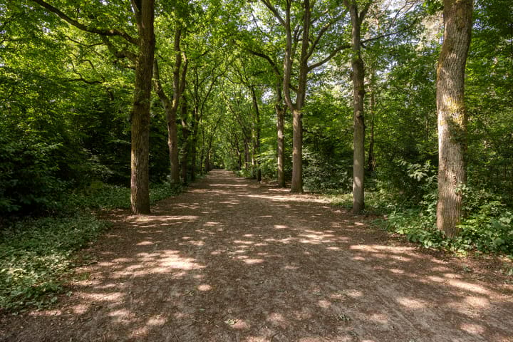 Foto 4 van Larikslaan 8