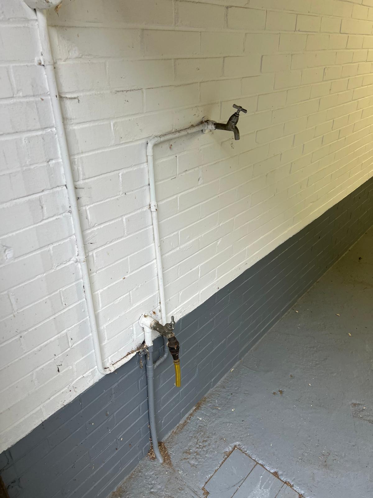 Foto 6 van Drakenstein 81