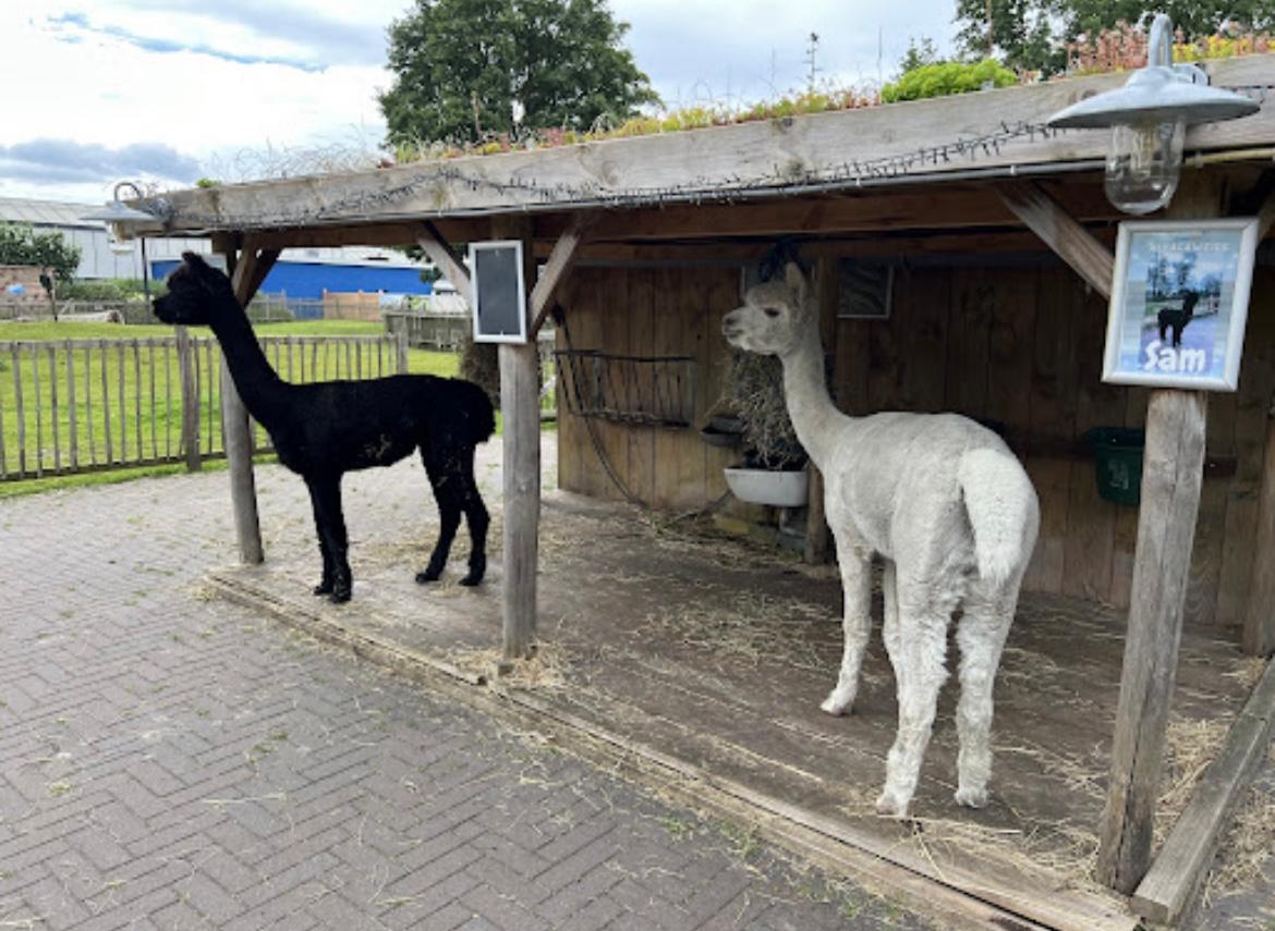 Photo 19 of Spijkweg 15