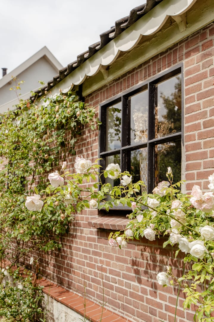 Photo 19 of Rondehoep West 52