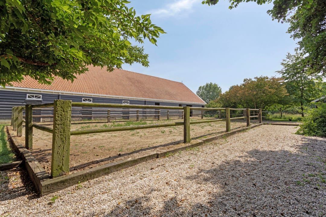 Photo 41 of Frisostraat 13