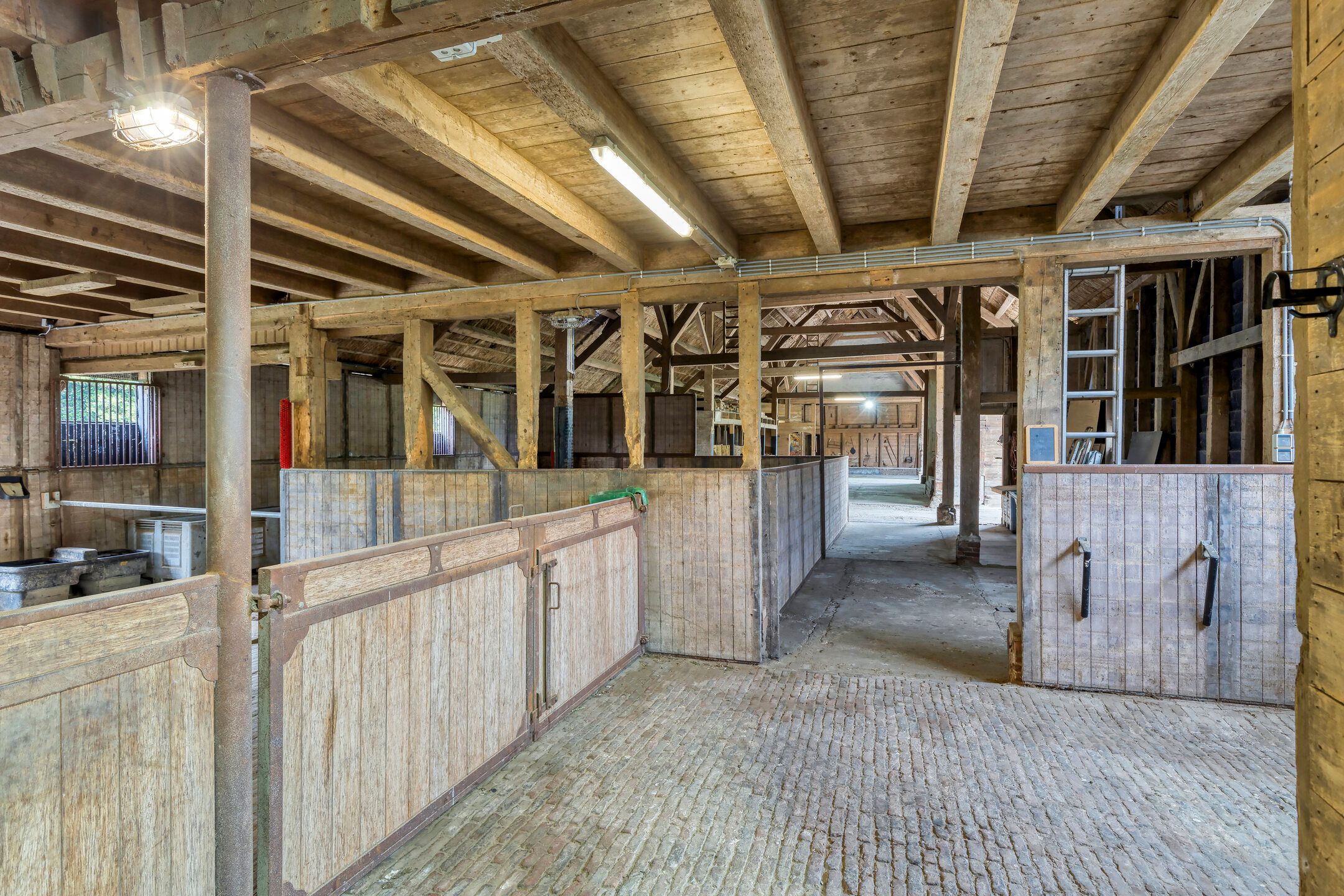 Photo 48 of Frisostraat 13