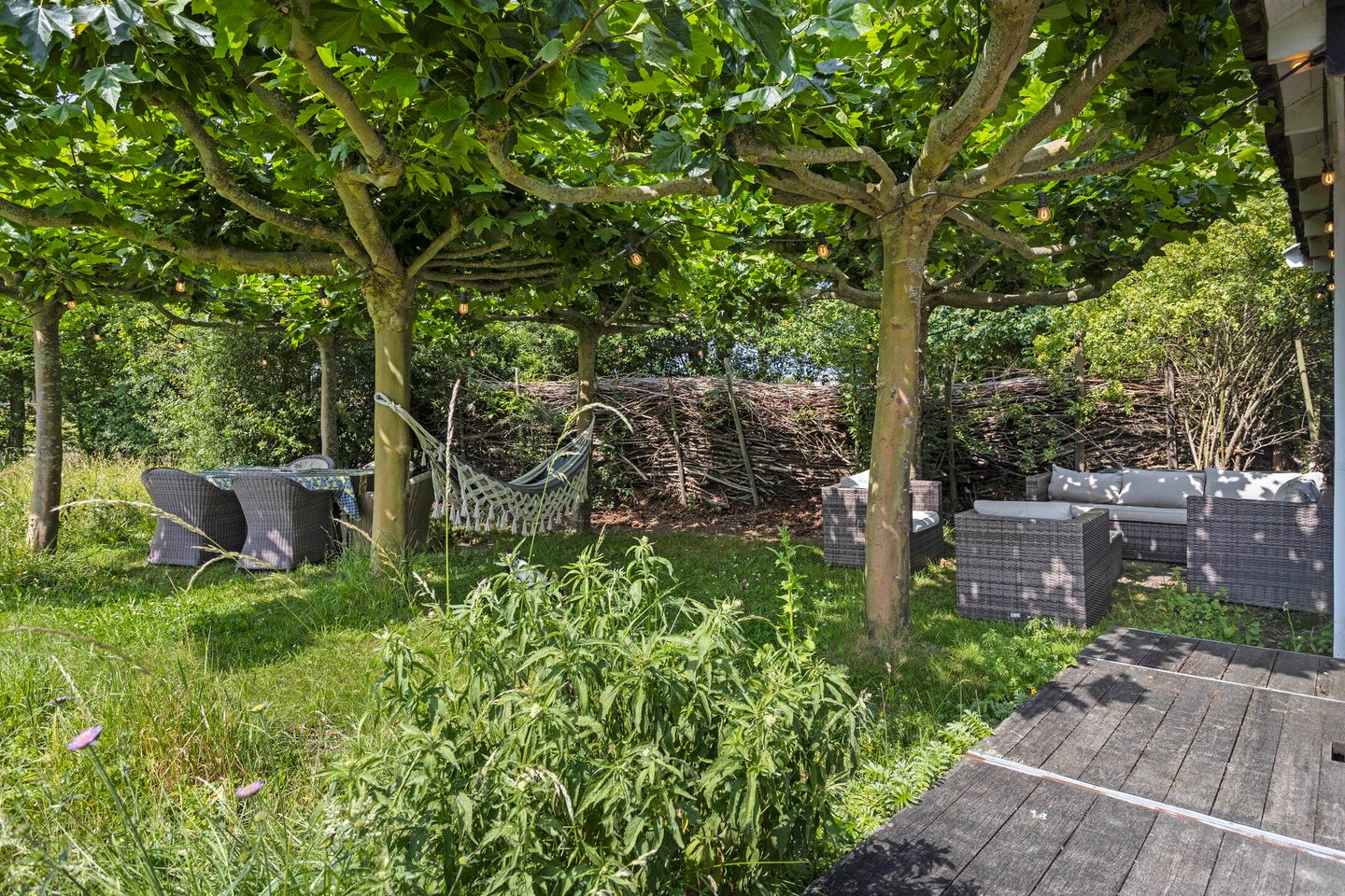 Photo 59 of Frisostraat 13