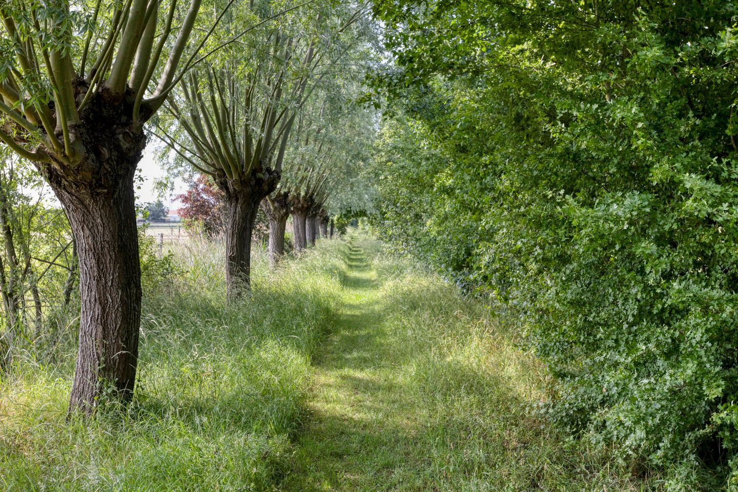 Photo 64 of Frisostraat 13