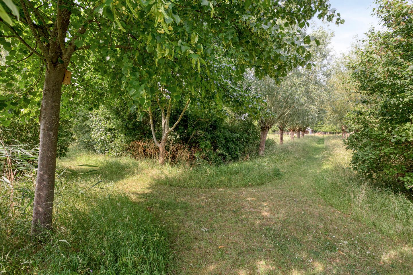 Photo 65 of Frisostraat 13