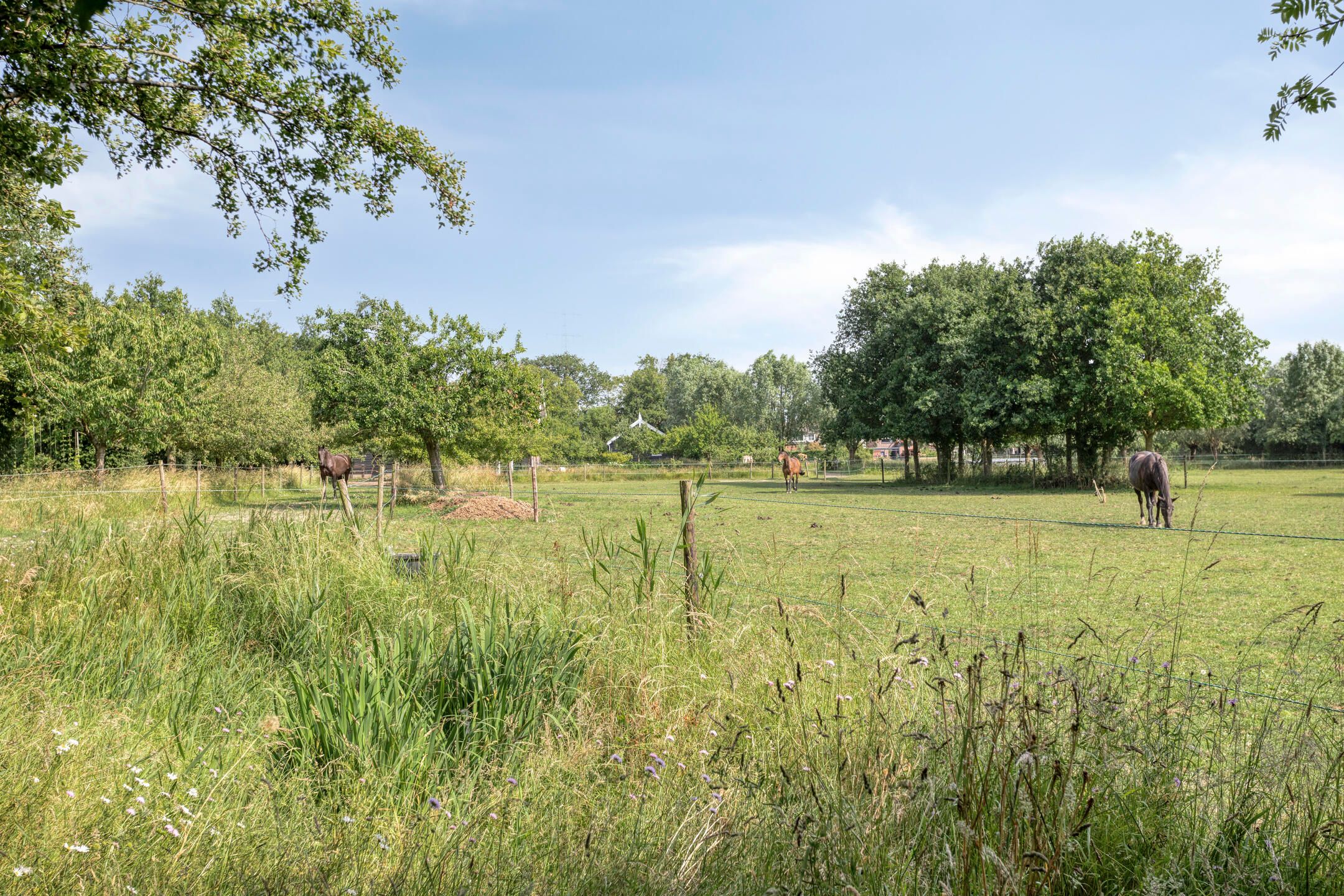 Photo 66 of Frisostraat 13