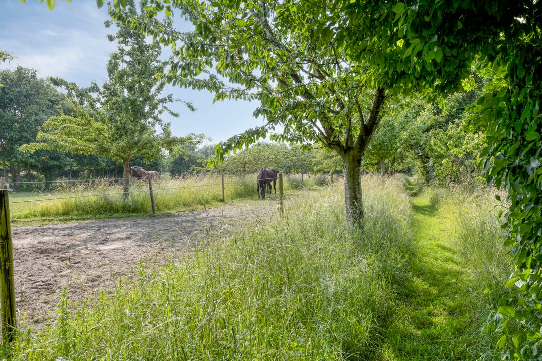 Photo 67 of Frisostraat 13