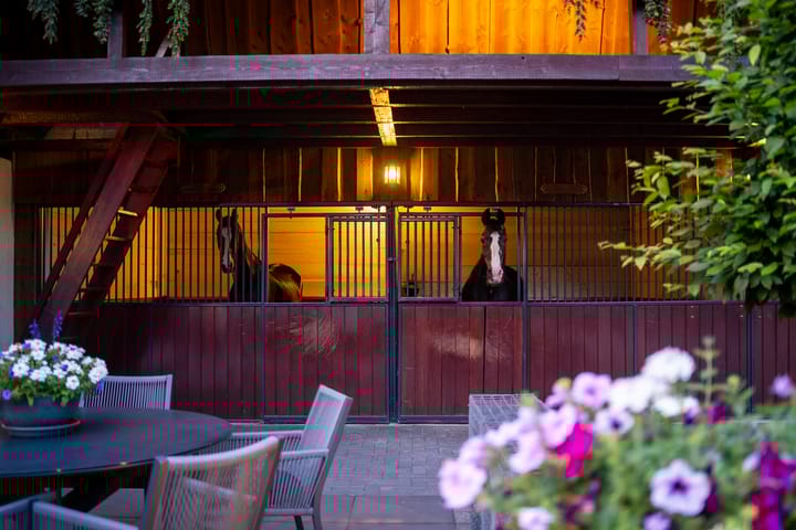 Photo 50 of Tonnendijk 88