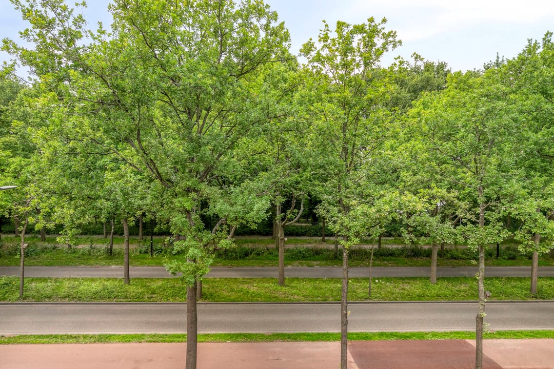 Foto 26 van Generaal Spoorlaan 353