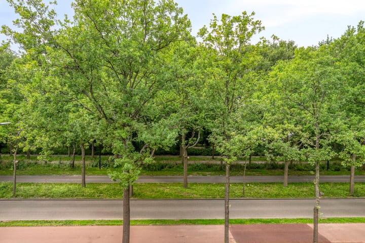 Foto 26 van Generaal Spoorlaan 353