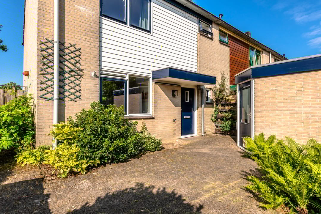 Photo 2 of Klaproos 74