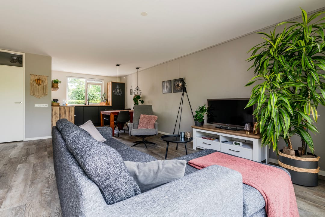 Photo 7 of Klaproos 74