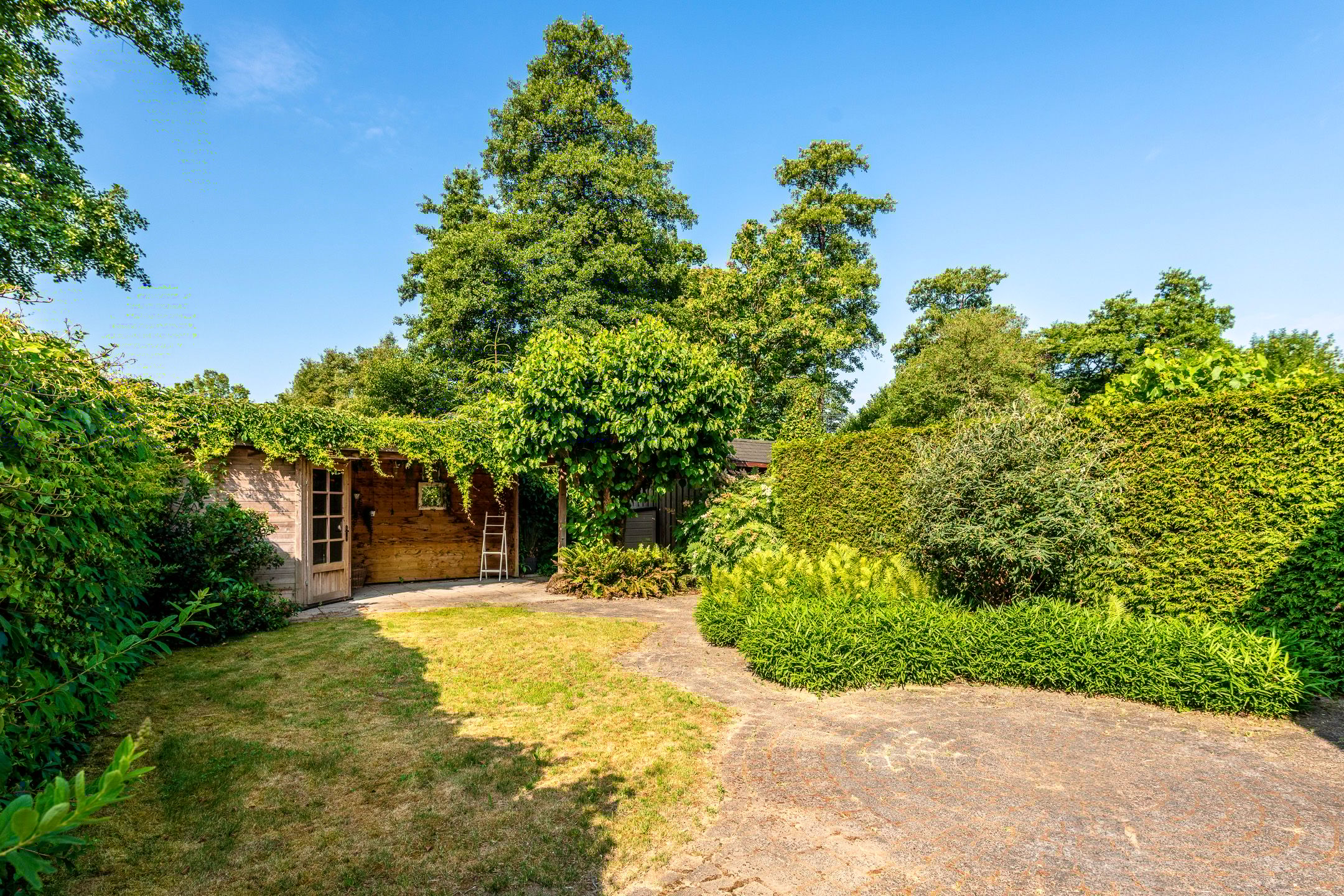 Photo 27 of Klaproos 74