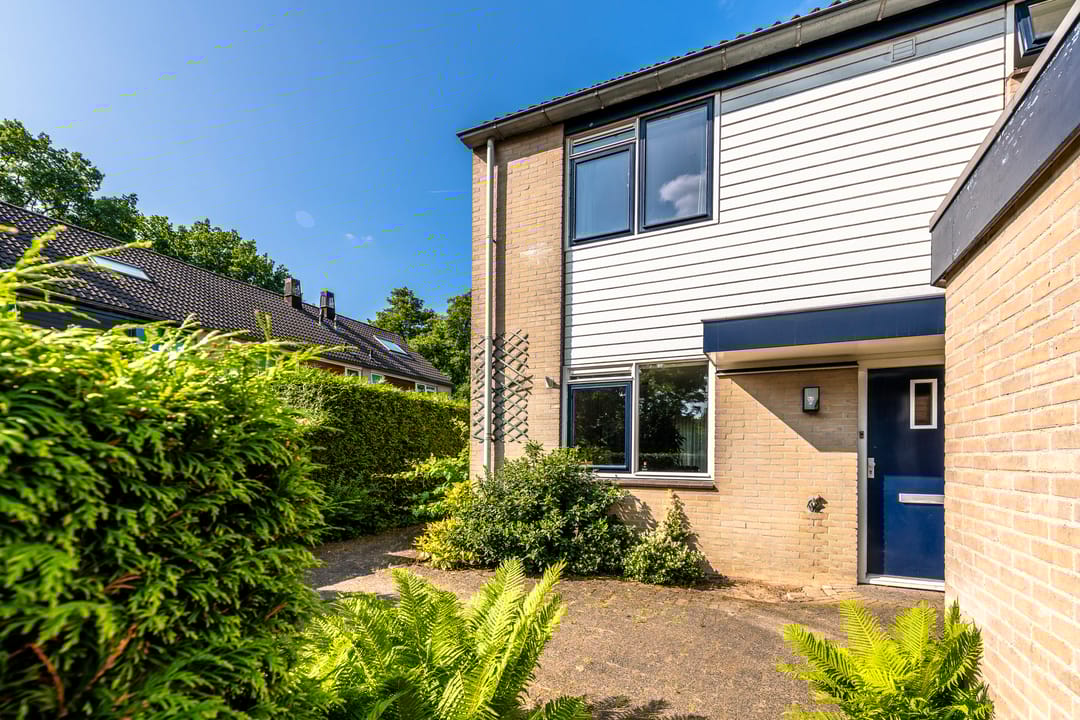 Photo 32 of Klaproos 74