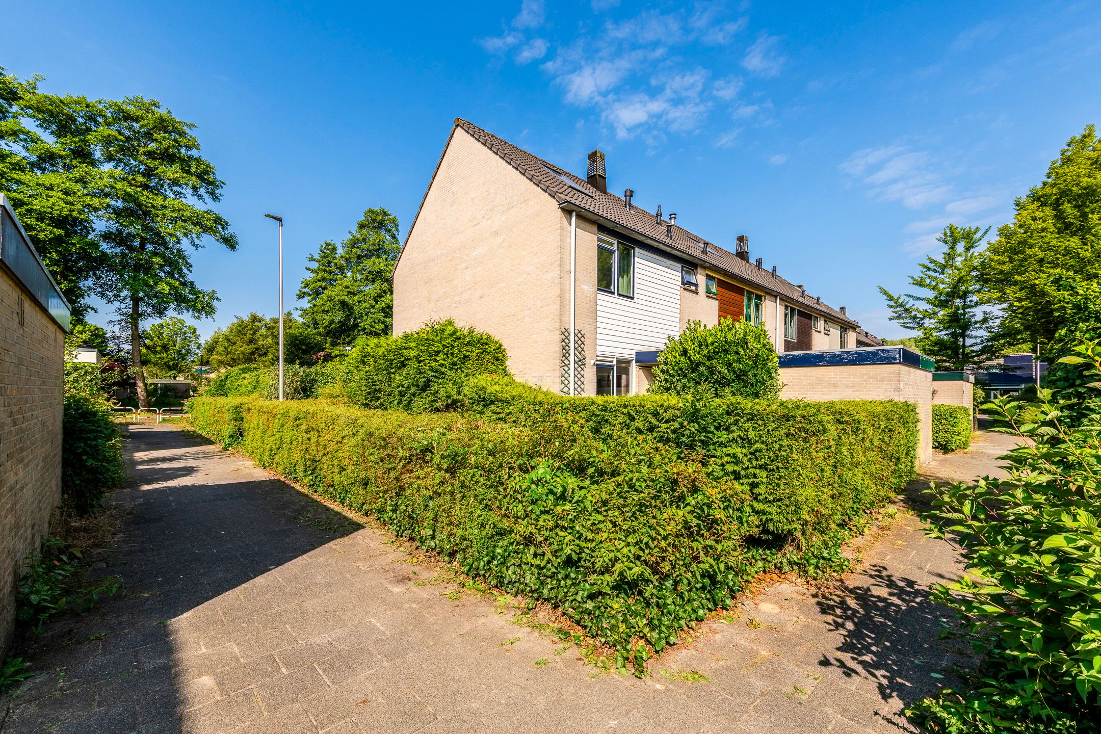 Photo 33 of Klaproos 74